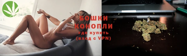амф Мегион