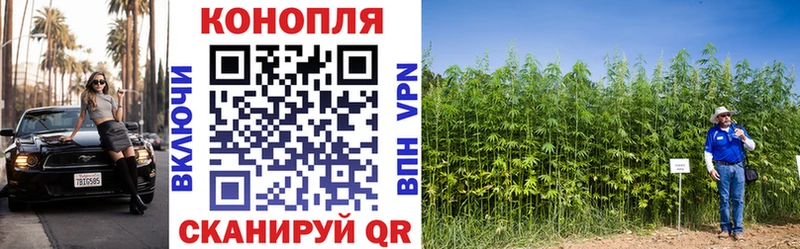 нарко площадка состав  Ильский  Канабис SATIVA & INDICA 